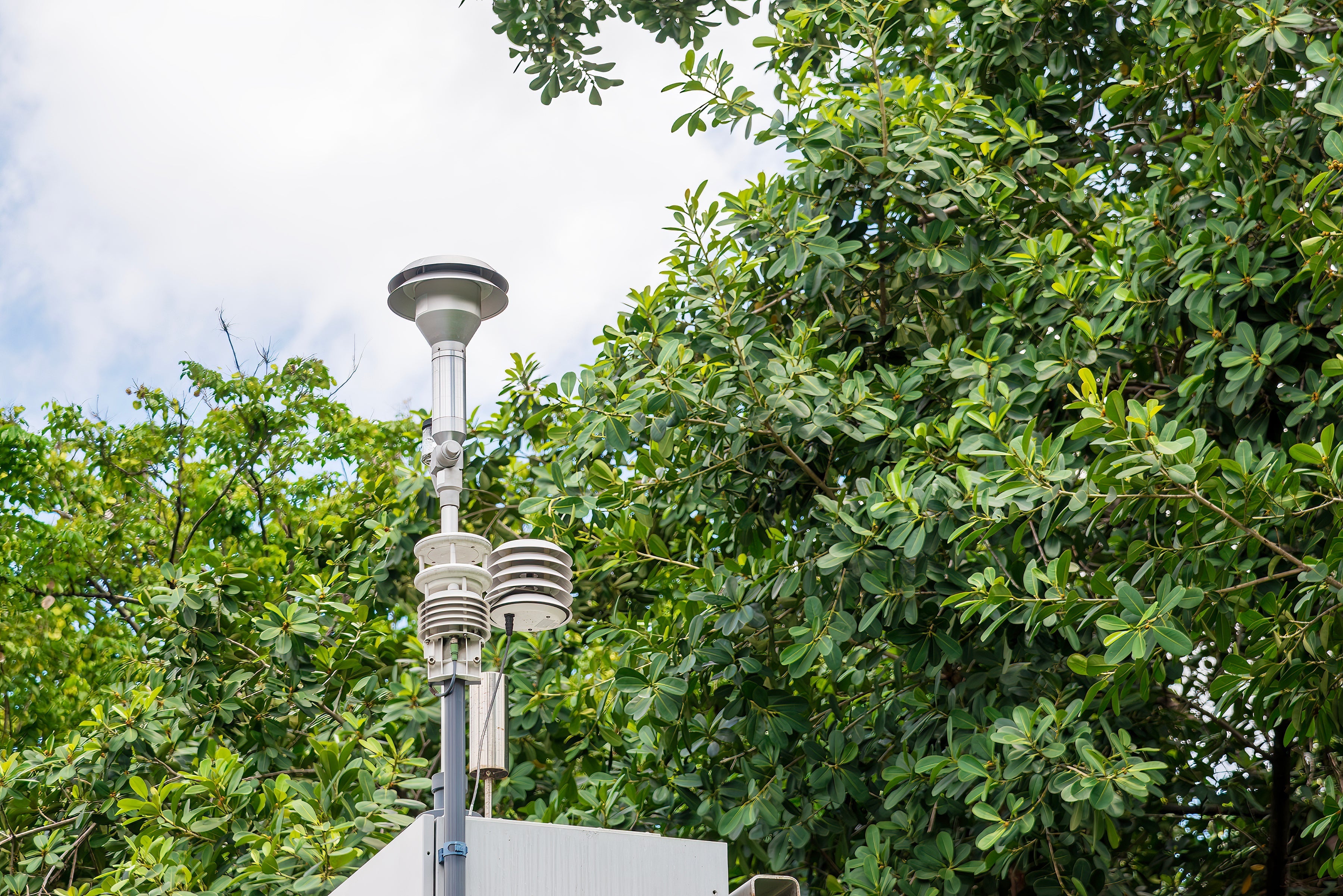 Jak jakość powietrza wpływa na długowieczność: Czynniki, skutki i rozwiązania
